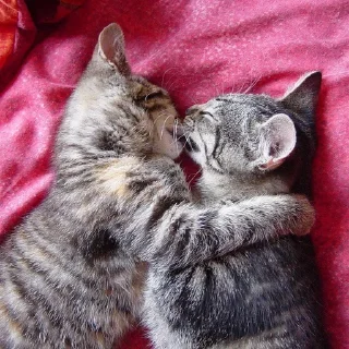 💕 emoji Обнимашки-целовашки :з Telegram sticker 7 of 120