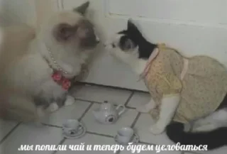 Обнимашки-целовашки :з sticker 3