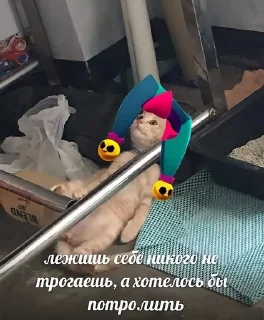 🥲 emoji Фэээнтастик Telegram sticker 24 of 120
