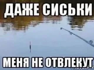 🌟 emoji пидорас by вита Telegram sticker 15 of 120
