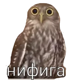 😄 emoji Самые крутые стикеры Влада Telegram sticker 20 of 24