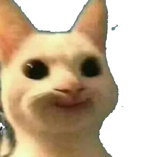 😄 emoji Самые крутые стикеры Влада Telegram sticker 10 of 24