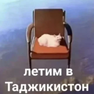 😄 emoji Самые крутые стикеры Влада Telegram sticker 22 of 24