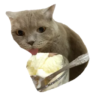 Sticker from Лола [@stickB00K]