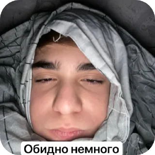 хасбики2 sticker 3