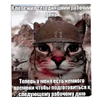 🪖 emoji Имбирь Telegram sticker 6 of 26