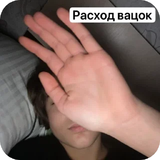 хасбики2 sticker 2