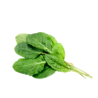 🥦 emoji Имбирь Telegram sticker 5 of 26