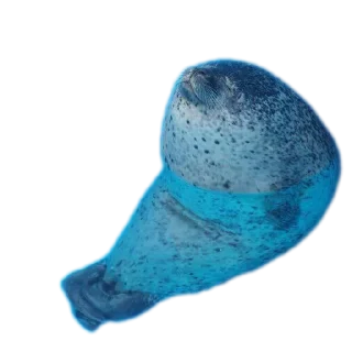 Имбирь sticker 4