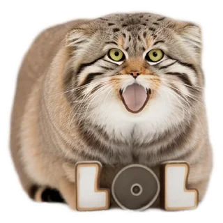 Sticker from Everyday Manul @animalplantspb