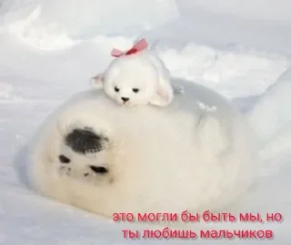 Sticker from отборные нерпы от эвелины