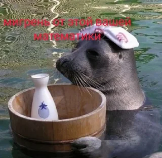 Sticker from отборные нерпы от эвелины