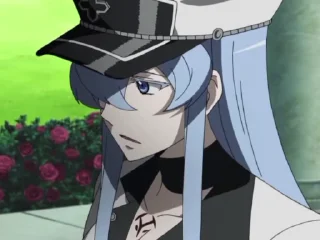 Sticker from Akame ga Kill | Esdes pack