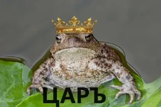 🌟 emoji жабули Telegram sticker 10 of 13