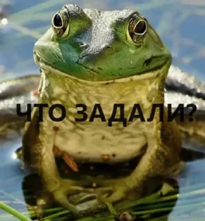 👋 emoji жабули Telegram sticker 13 of 13