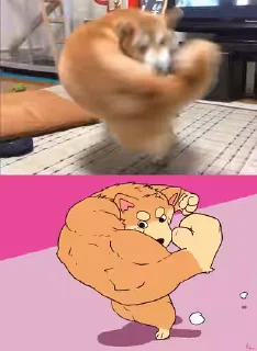 💪 emoji Больше стикеров → @funny_stickerss Telegram sticker 22 of 38