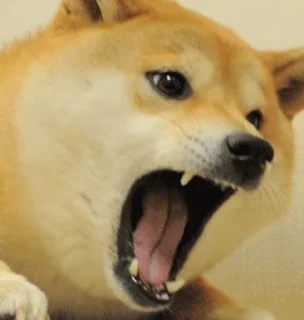 😡 emoji Больше стикеров → @funny_stickerss Telegram sticker 5 of 38
