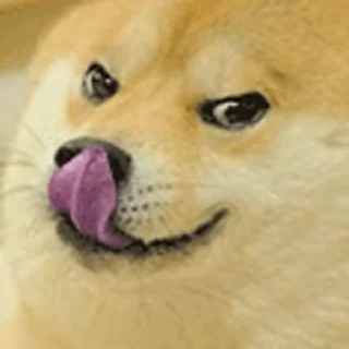 😝 emoji Больше стикеров → @funny_stickerss Telegram sticker 9 of 38