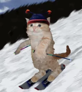 🎿 emoji Больше стикеров → @funny_stickerss Telegram sticker 24 of 38