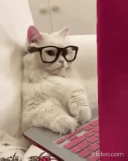 🤓 emoji Больше стикеров → @funny_stickerss Telegram sticker 21 of 38