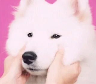 😊 emoji Больше стикеров → @funny_stickerss Telegram sticker 13 of 38