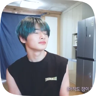 Sticker from 𖧧·jeongin @straykhelp