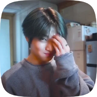 Sticker from 𖧧·jeongin @straykhelp