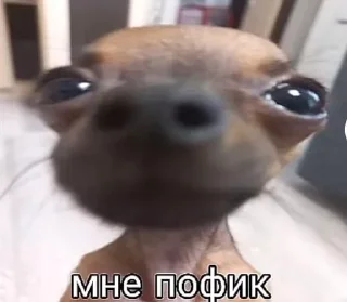 Sticker from НоуНейм Стикеры