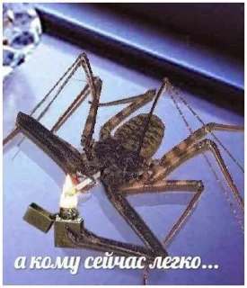 Sticker from Олежа бебрович