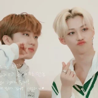 Sticker from binnie&lixie |@skzstickersss