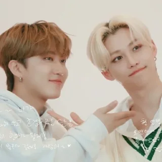 Sticker from binnie&lixie |@skzstickersss