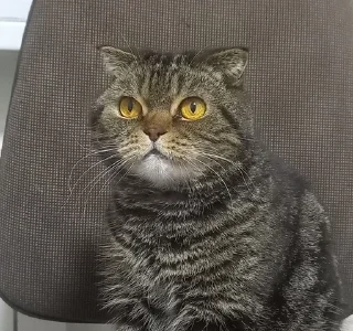 🤓 emoji Ричик няшка Telegram sticker 11 of 17