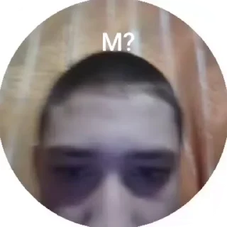 🌟 emoji Teenage Olive Sailfish Telegram sticker 21 of 47