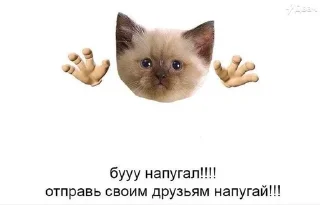 🌟 emoji @linkamalinkaav Telegram sticker 22 of 41