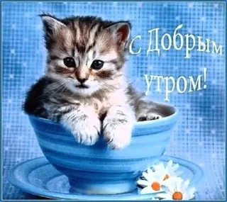 🙂 emoji @linkamalinkaav Telegram sticker 18 of 41