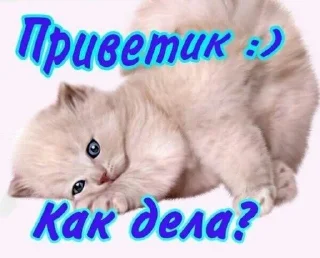 🥱 emoji @linkamalinkaav Telegram sticker 15 of 41