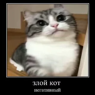 Sticker from Лучьше стикеры - @lovesticers
