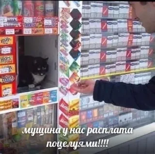 😏 emoji Катюшкина хуйнюшка Telegram sticker 19 of 72