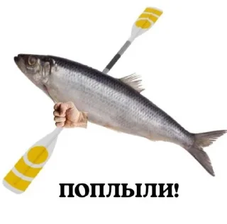 🚣‍♀️ emoji radima&marinett Telegram sticker 20 of 30