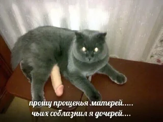 🥵 emoji Катюшкина хуйнюшка Telegram sticker 5 of 72