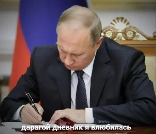 🥴 emoji Катюшкина хуйнюшка Telegram sticker 11 of 72