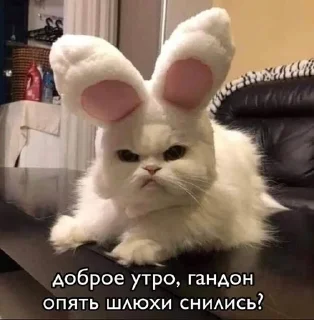 🥲 emoji Катюшкина хуйнюшка Telegram sticker 16 of 72