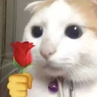 🌹 emoji Хайп Telegram sticker 8 of 120