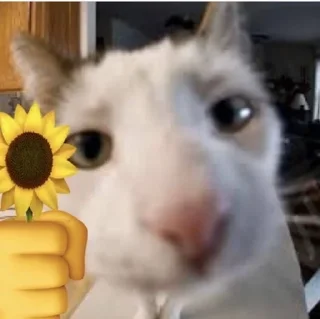 🌻 emoji Хайп Telegram sticker 9 of 120