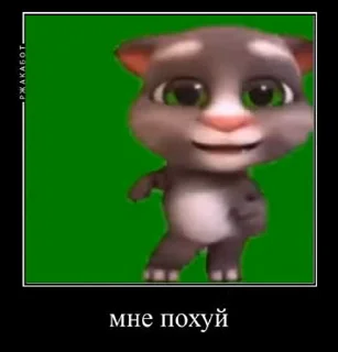 🤍 emoji эленвен легенда [cutie] — @stckrRobot Telegram sticker 12 of 24