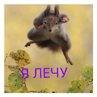 Sticker from Животные
