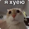 асикс sticker preview 1