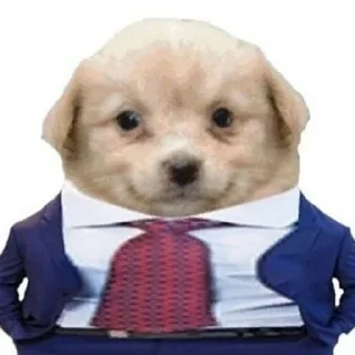 Sticker from doggy