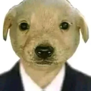 Sticker from doggy