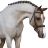 Equestrian. 2.0 part sticker preview 3